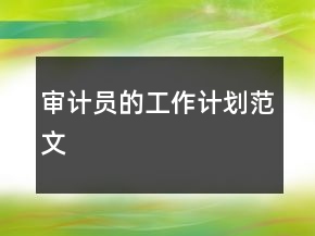 審計員的工作計劃范文