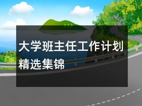 大學(xué)班主任工作計(jì)劃精選集錦