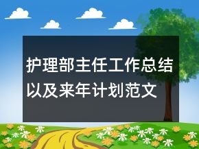 護理部主任工作總結(jié)以及來年計劃范文