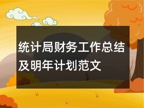 統(tǒng)計(jì)局財(cái)務(wù)工作總結(jié)及明年計(jì)劃范文