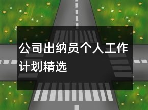公司出納員個(gè)人工作計(jì)劃精選