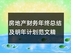 房地產(chǎn)財(cái)務(wù)年終總結(jié)及明年計(jì)劃范文精選