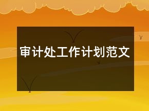 審計(jì)處工作計(jì)劃范文