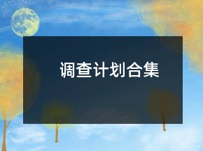 調(diào)查計(jì)劃合集