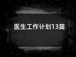 醫(yī)生工作計劃13篇