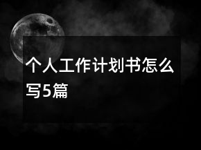 個人工作計劃書怎么寫5篇