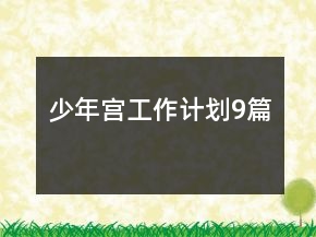 少年宮工作計(jì)劃9篇