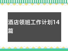 酒店領(lǐng)班工作計劃14篇