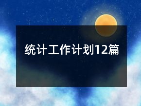 統(tǒng)計(jì)工作計(jì)劃12篇
