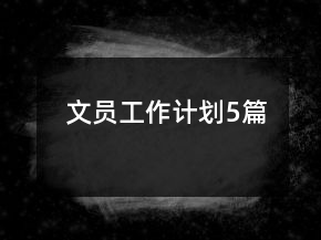 文員工作計(jì)劃5篇