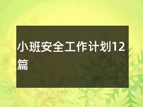 小班安全工作計(jì)劃12篇
