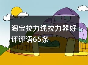 淘寶拉力繩、拉力器好評評語65條