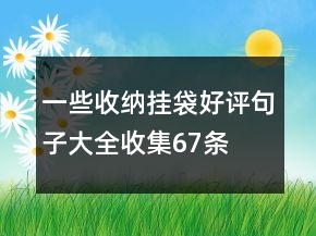 一些收納掛袋好評句子大全收集67條