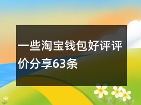 一些淘寶錢包好評評價分享63條