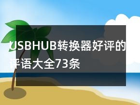 USBHUB、轉換器好評的評語大全73條