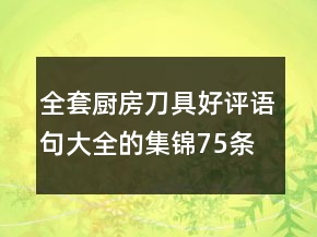全套廚房刀具好評(píng)語(yǔ)句大全的集錦75條