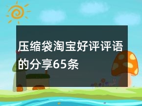 壓縮袋淘寶好評(píng)評(píng)語的分享65條