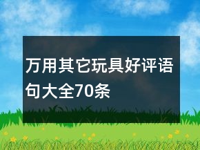 萬(wàn)用其它玩具好評(píng)語(yǔ)句大全70條