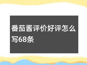 番茄醬評價好評怎么寫68條