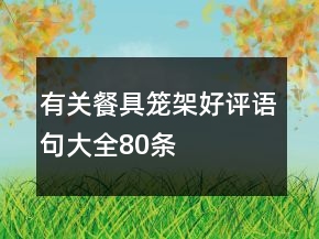 有關(guān)餐具籠、架好評語句大全80條