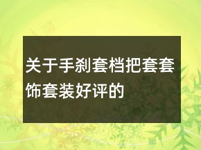 關(guān)于手剎套、檔把套、套飾套裝好評的評語大全的集錦61條