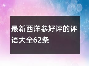 最新西洋參好評的評語大全62條