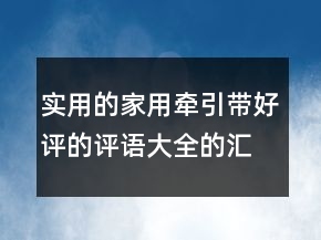 實用的家用牽引帶好評的評語大全的匯總77條