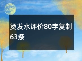 燙發(fā)水評(píng)價(jià)80字復(fù)制63條