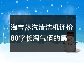淘寶蒸汽清潔機評價80字長淘氣值的集錦70條