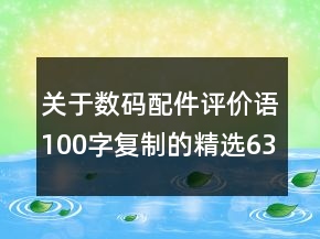 關(guān)于數(shù)碼配件評(píng)價(jià)語100字復(fù)制的精選63條