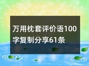 萬用枕套評價語100字復(fù)制分享61條