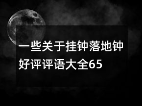 一些關(guān)于掛鐘、落地鐘好評評語大全65條