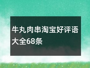 牛丸、肉串淘寶好評(píng)語(yǔ)大全68條
