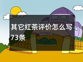 其它紅茶評價怎么寫73條
