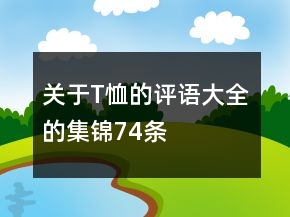 關(guān)于T恤的評語大全的集錦74條