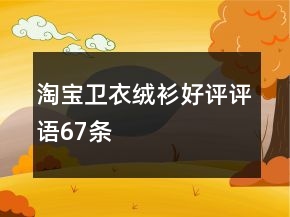 淘寶衛(wèi)衣、絨衫好評(píng)評(píng)語(yǔ)67條