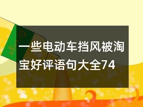 一些電動車擋風(fēng)被淘寶好評語句大全74條