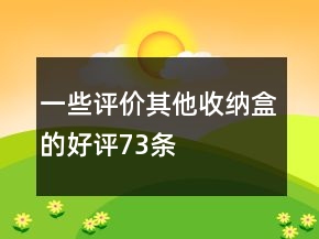 一些評價其他收納盒的好評73條