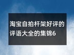 淘寶自拍桿、架好評的評語大全的集錦61條