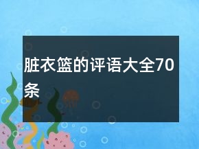 臟衣籃的評語大全70條