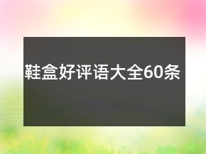 鞋盒好評語大全60條