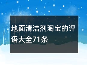 地面清潔劑淘寶的評(píng)語(yǔ)大全71條