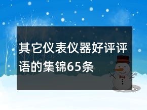 其它儀表儀器好評評語的集錦65條