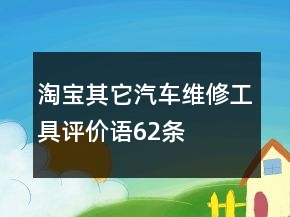 淘寶其它汽車維修、工具評(píng)價(jià)語(yǔ)62條