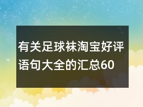 有關(guān)足球襪淘寶好評(píng)語(yǔ)句大全的匯總60條
