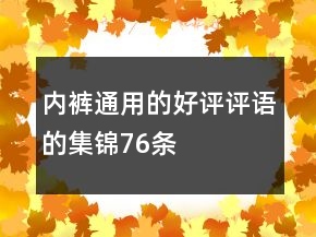 內(nèi)褲通用的好評(píng)評(píng)語(yǔ)的集錦76條