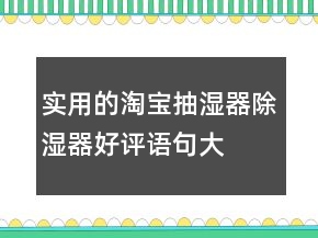 實(shí)用的淘寶抽濕器、除濕器好評(píng)語句大全77條