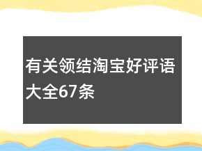 有關(guān)領(lǐng)結(jié)淘寶好評(píng)語(yǔ)大全67條