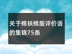 關(guān)于棉襖、棉服評(píng)價(jià)語(yǔ)的集錦75條