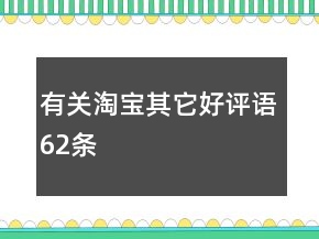 有關(guān)淘寶其它好評(píng)語62條